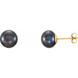 14K Yellow Gold Cultured Black Freshwater Pearl Stud Earrings